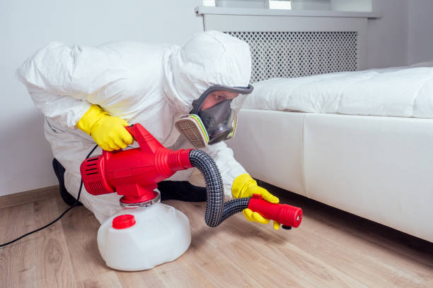 Best Fumigation Services  in Milam, TX